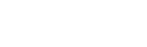 BWX Travel Logo